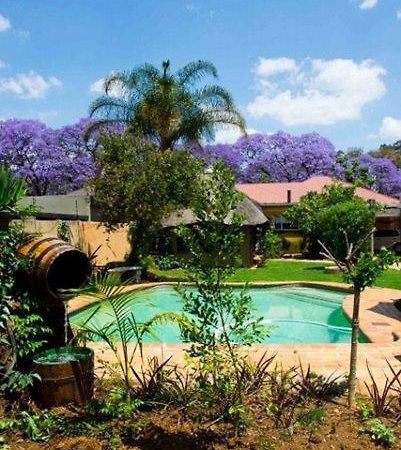 Pretoria-Noord 1322 Backpackers Internationalホステル エクステリア 写真